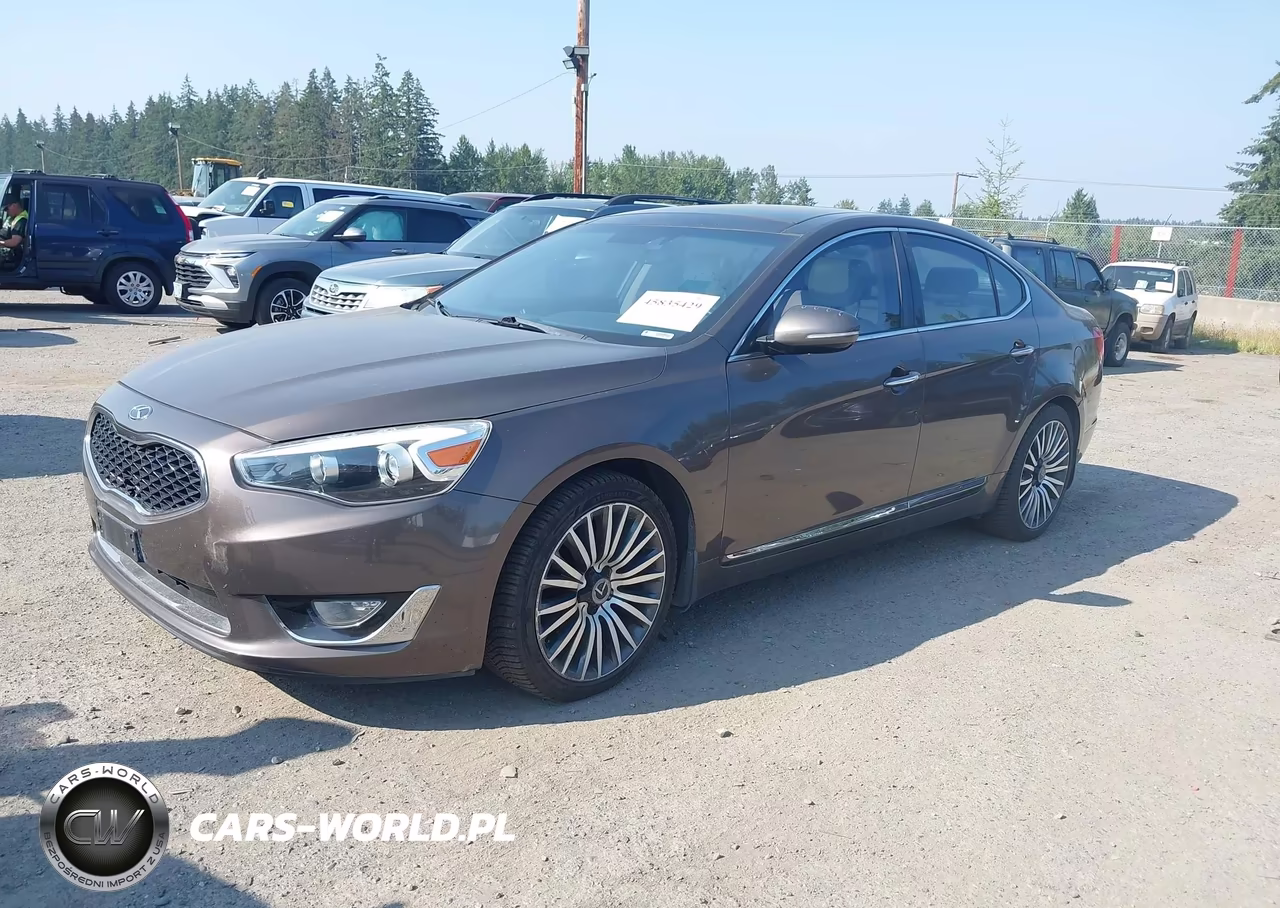 2014 Kia Cadenza Premium VIN:KNALN4D73E5126194 - 2