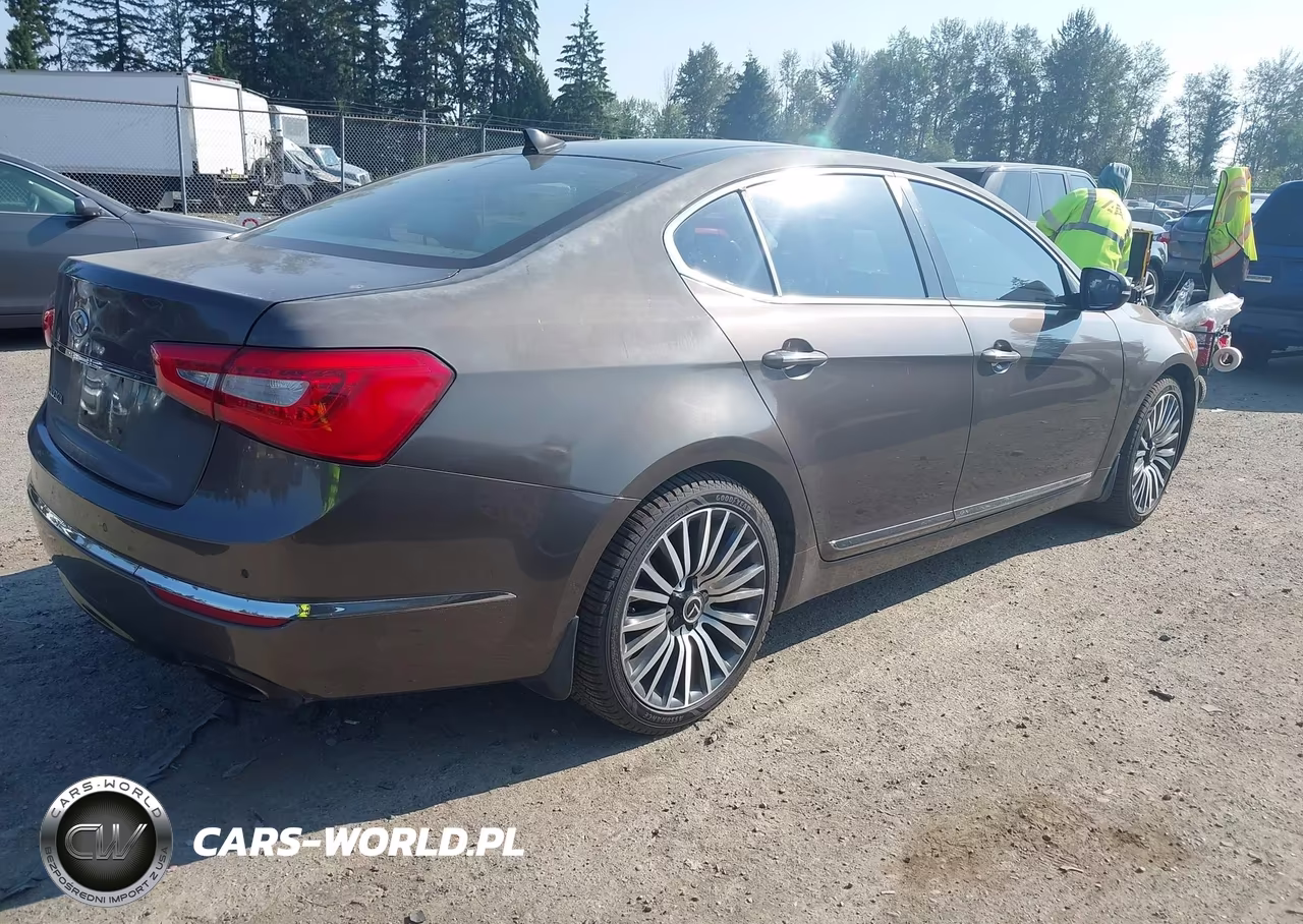 2014 Kia Cadenza Premium VIN:KNALN4D73E5126194 - 4