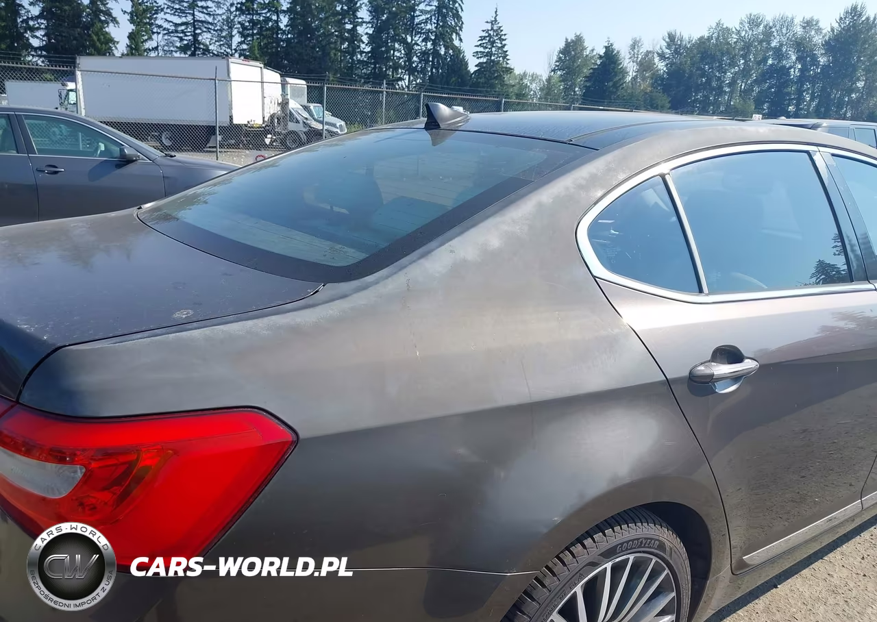 2014 Kia Cadenza Premium VIN:KNALN4D73E5126194 - 6