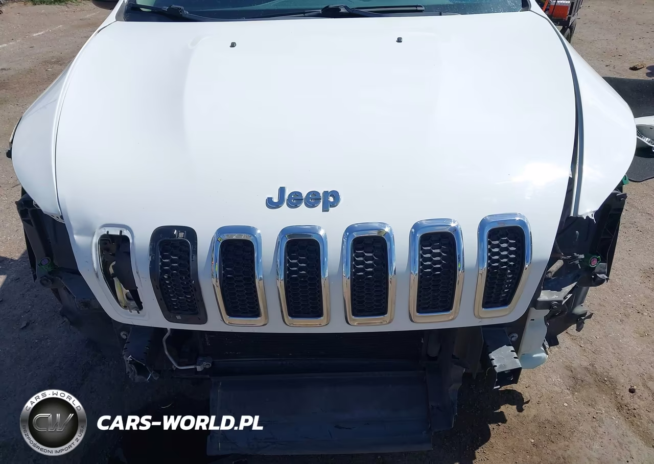 2016 Jeep Cherokee Sport VIN:1C4PJLAB2GW324765 - 13