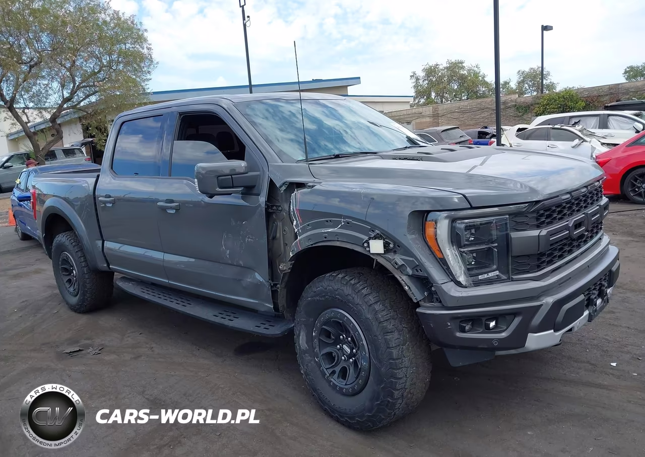 2021 Ford F-150 Raptor VIN:1FTFW1RG1MFC50235 - 6
