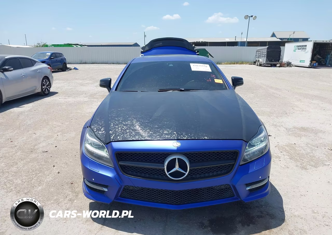 2014 Mercedes-Benz Cls 550 VIN:WDDLJ7DB6EA103316 - 12
