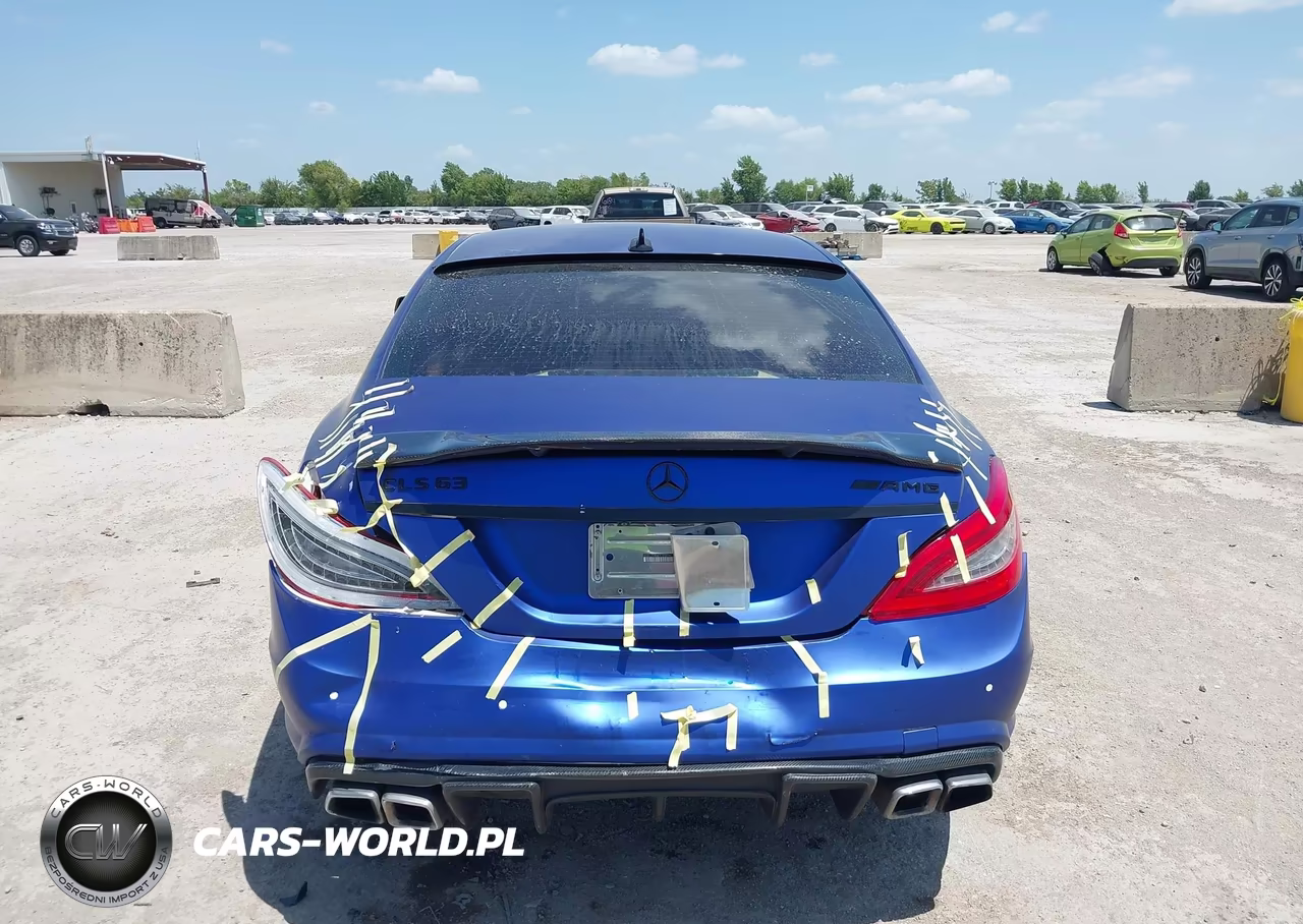 2014 Mercedes-Benz Cls 550 VIN:WDDLJ7DB6EA103316 - 16
