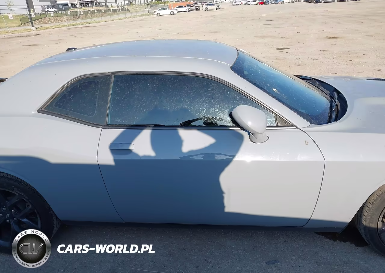 2020 Dodge Challenger Sxt VIN:2C3CDZAG3LH194206 - 14