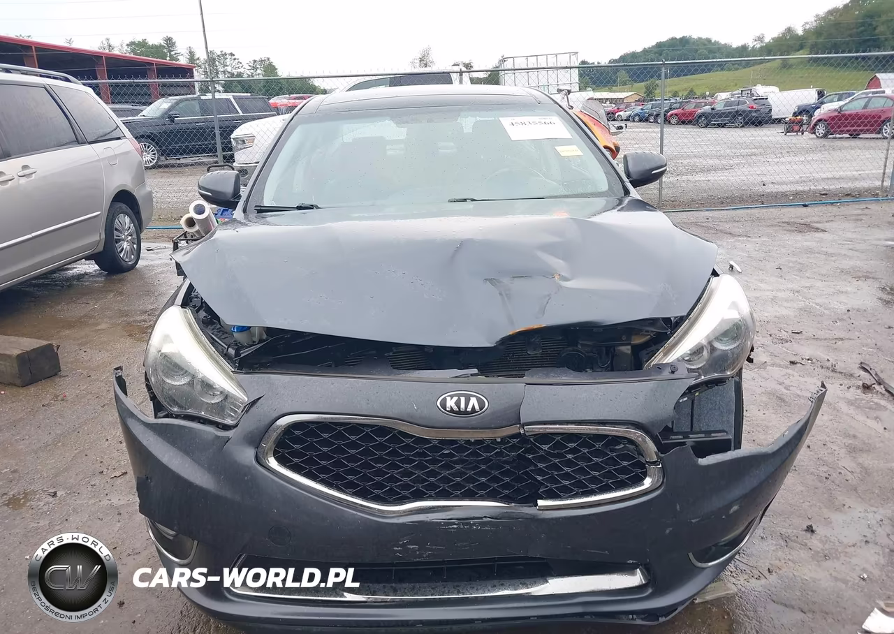 2015 Kia Cadenza Premium VIN:KNALN4D73F5197042 - 12