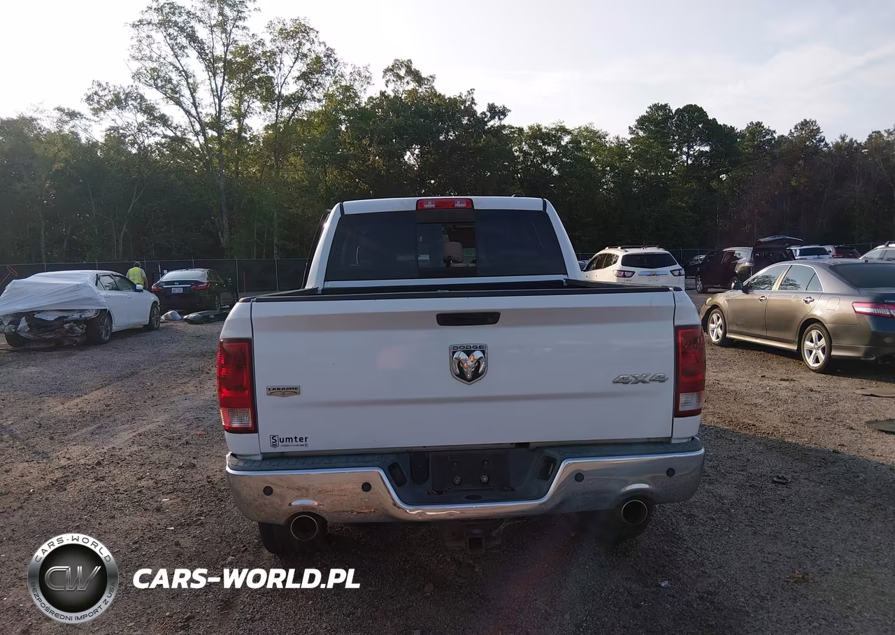 2010 Dodge Ram 1500 Laramie VIN:1D7RV1CT9AS160619 - 16
