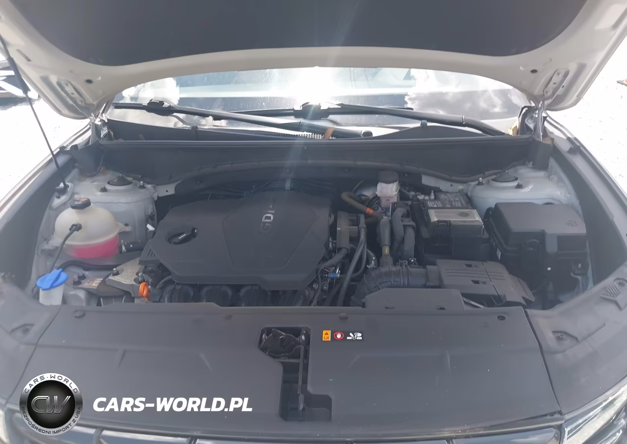 2024 Hyundai Tucson Sel VIN:5NMJB3DEXRH316881 - 10