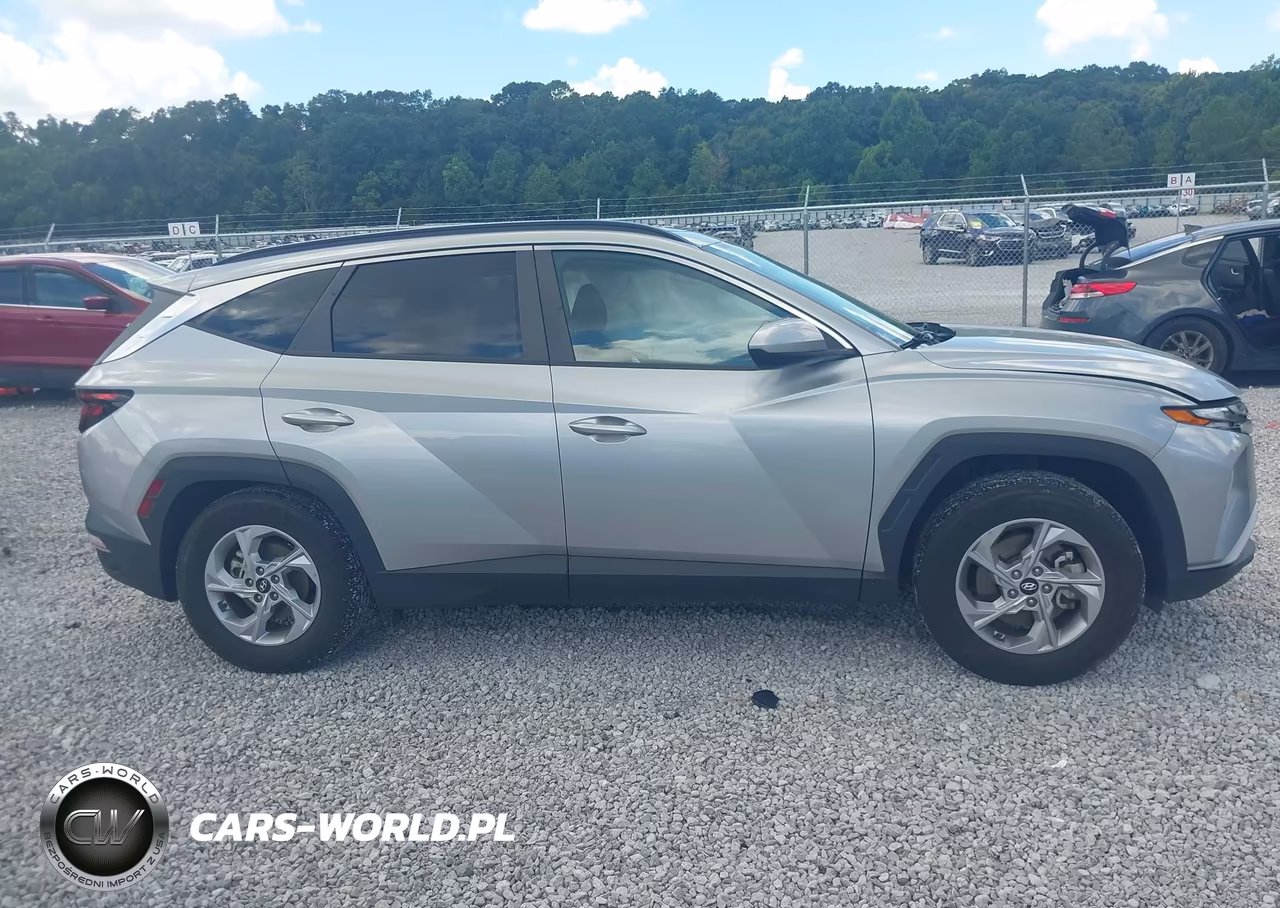 2024 Hyundai Tucson Sel VIN:5NMJB3DEXRH316881 - 13