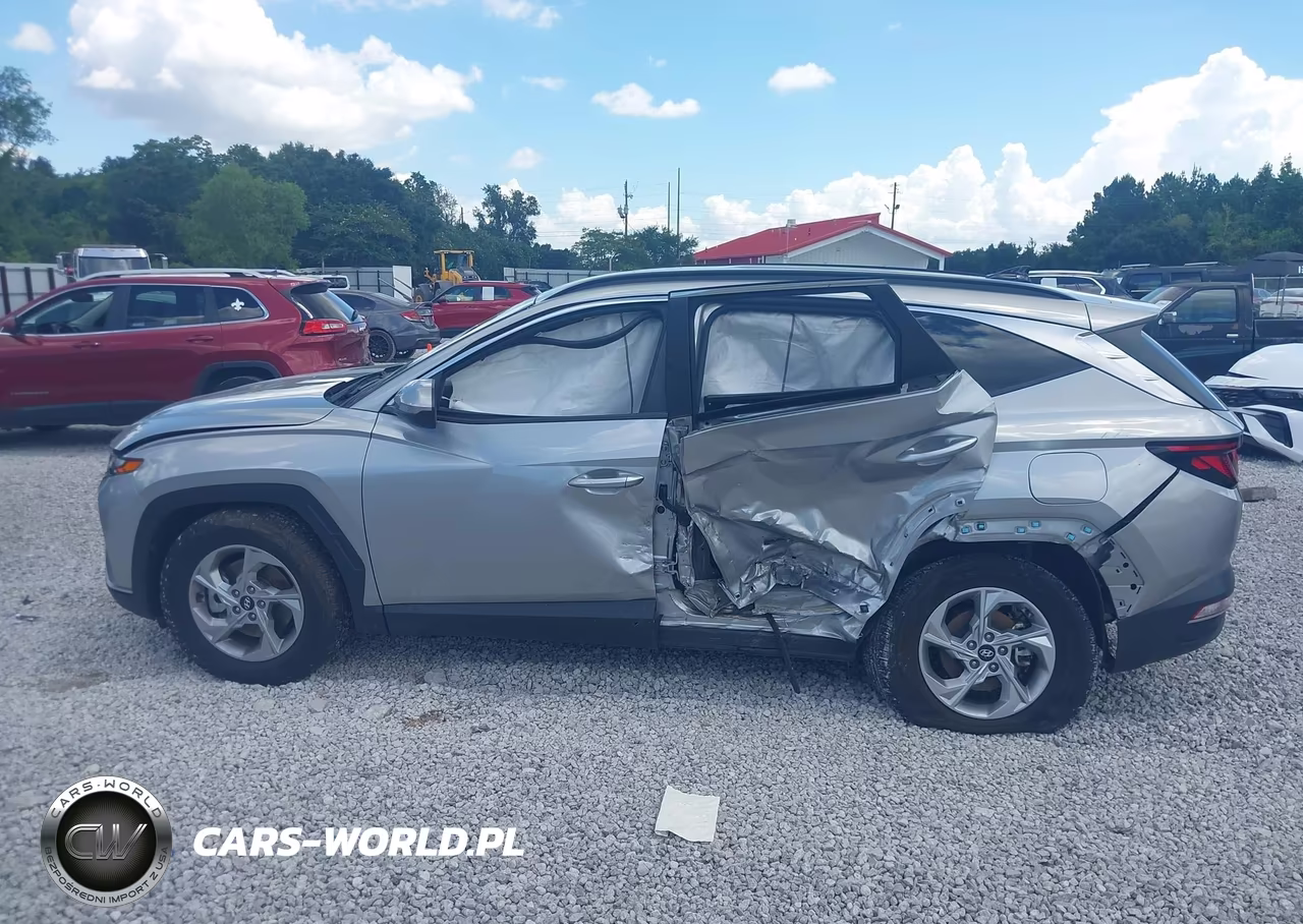 2024 Hyundai Tucson Sel VIN:5NMJB3DEXRH316881 - 14