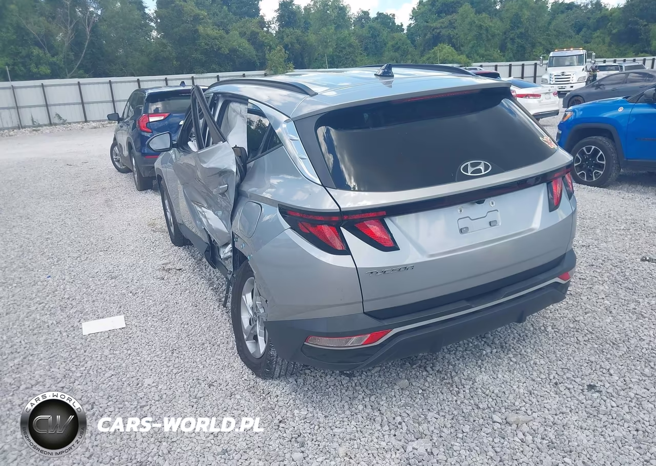 2024 Hyundai Tucson Sel VIN:5NMJB3DEXRH316881 - 3
