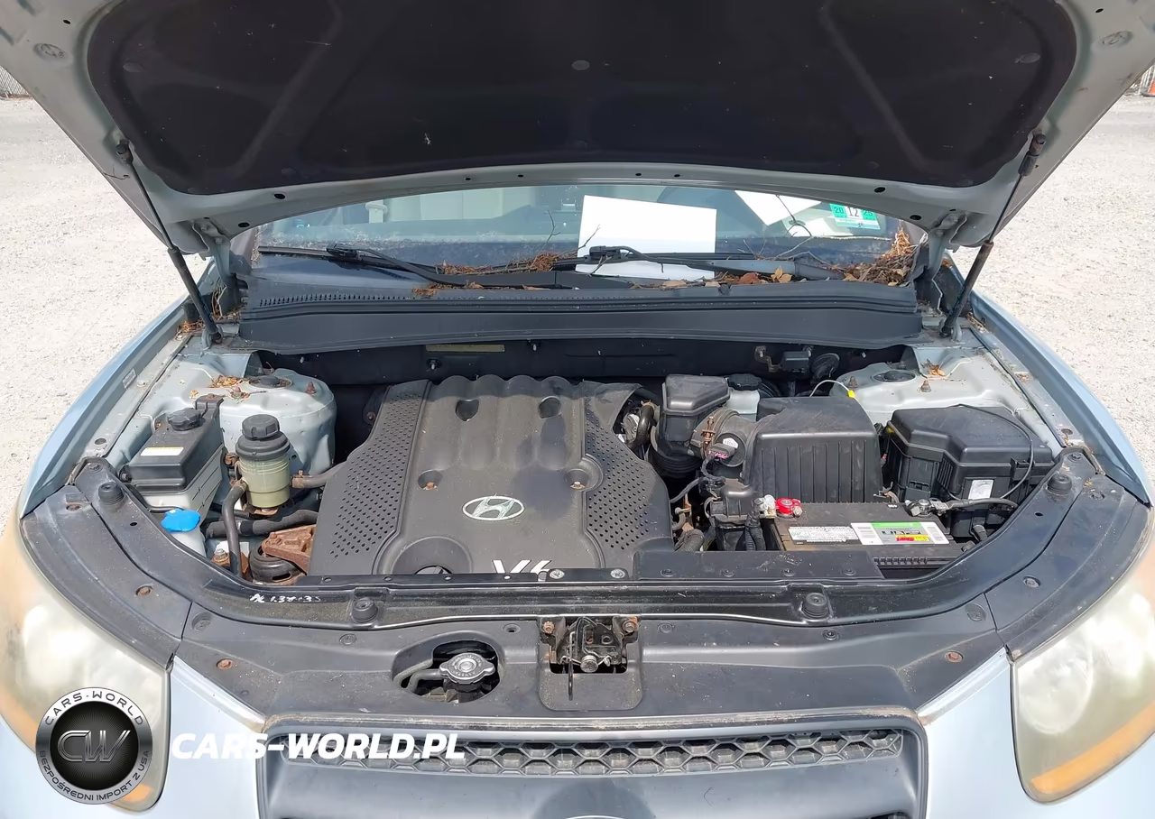 2008 Hyundai Santa Fe Gls VIN:5NMSG13D28H172230 - 10