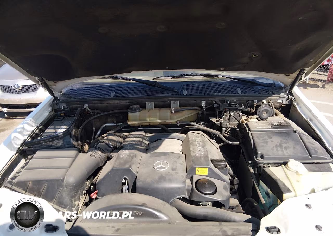2002 Mercedes-Benz Ml 320 VIN:4JGAB54E62A352171 - 10