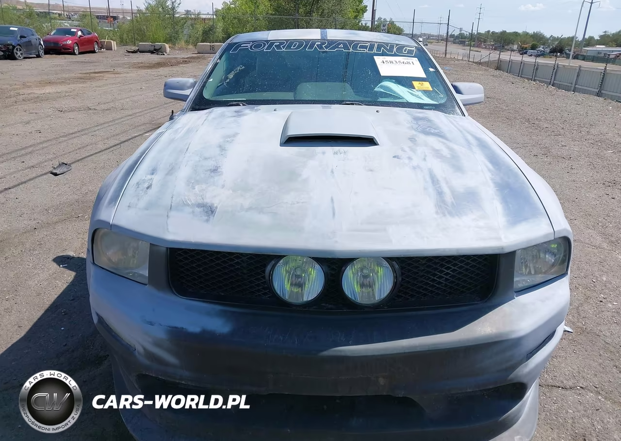 2007 Ford Mustang Gt Deluxe-Gt Premium VIN:1ZVFT82H975241892 - 11