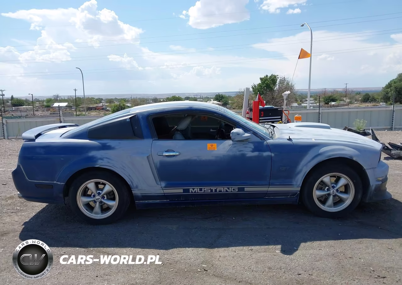 2007 Ford Mustang Gt Deluxe-Gt Premium VIN:1ZVFT82H975241892 - 12