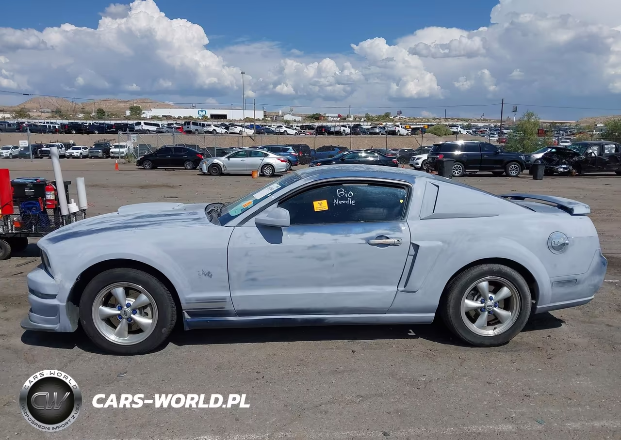 2007 Ford Mustang Gt Deluxe-Gt Premium VIN:1ZVFT82H975241892 - 13