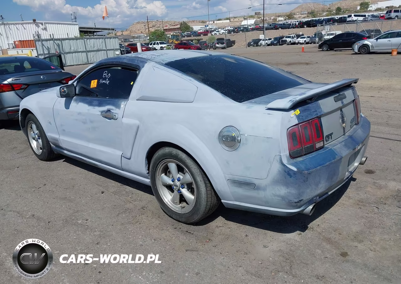 2007 Ford Mustang Gt Deluxe-Gt Premium VIN:1ZVFT82H975241892 - 3