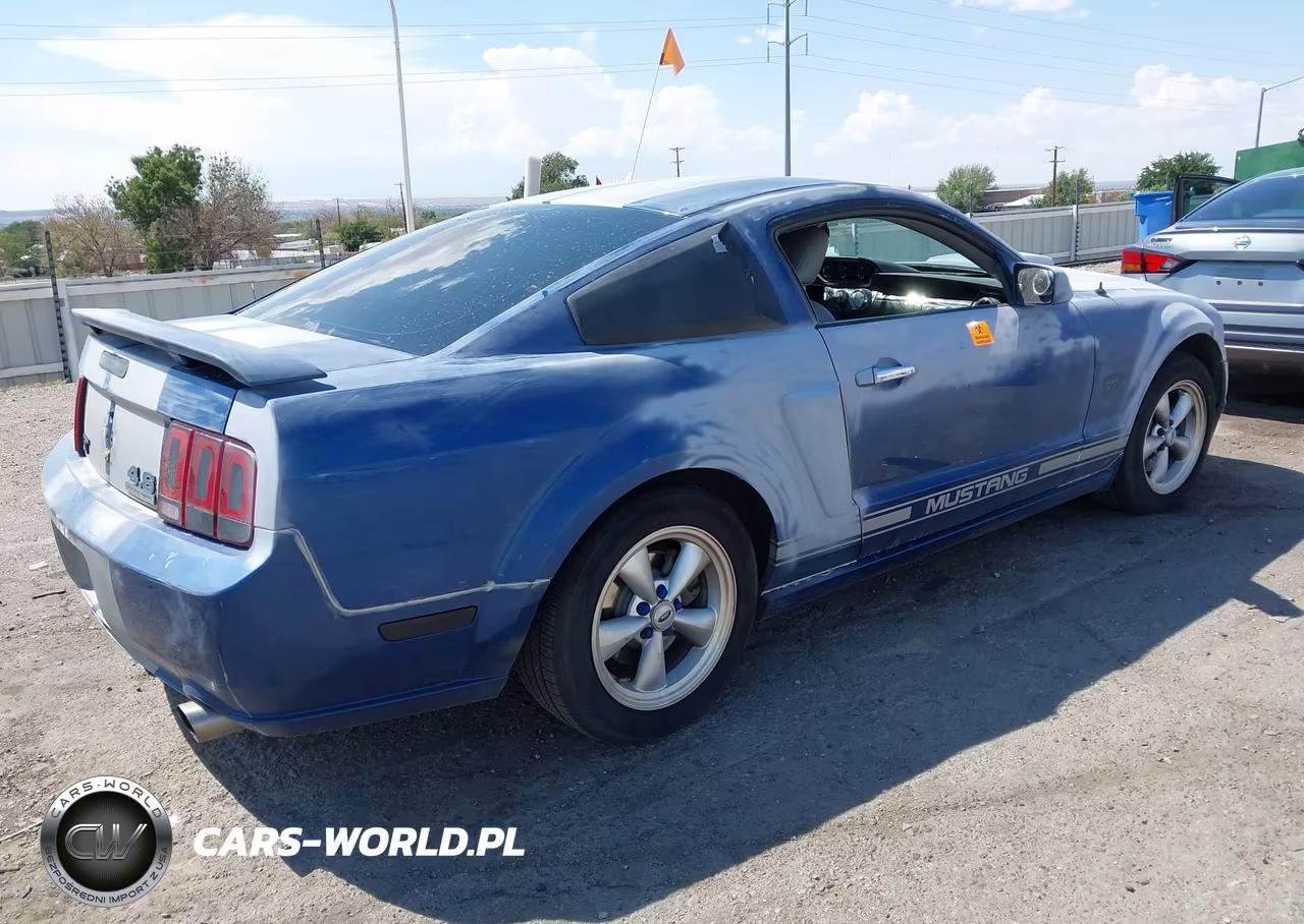 2007 Ford Mustang Gt Deluxe-Gt Premium VIN:1ZVFT82H975241892 - 4