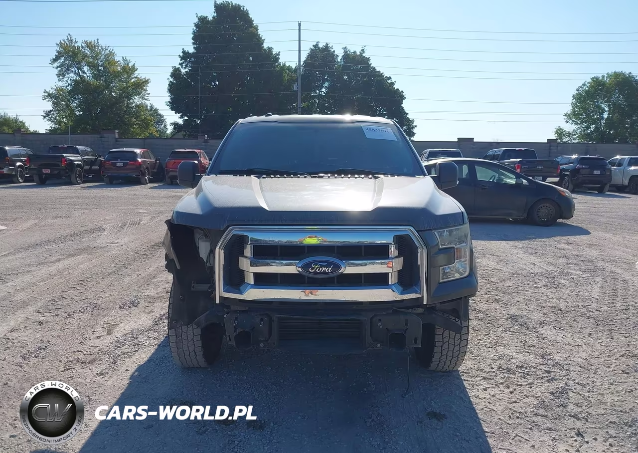 2016 Ford F-150 Xlt VIN:1FTEW1CG9GKD79355 - 13