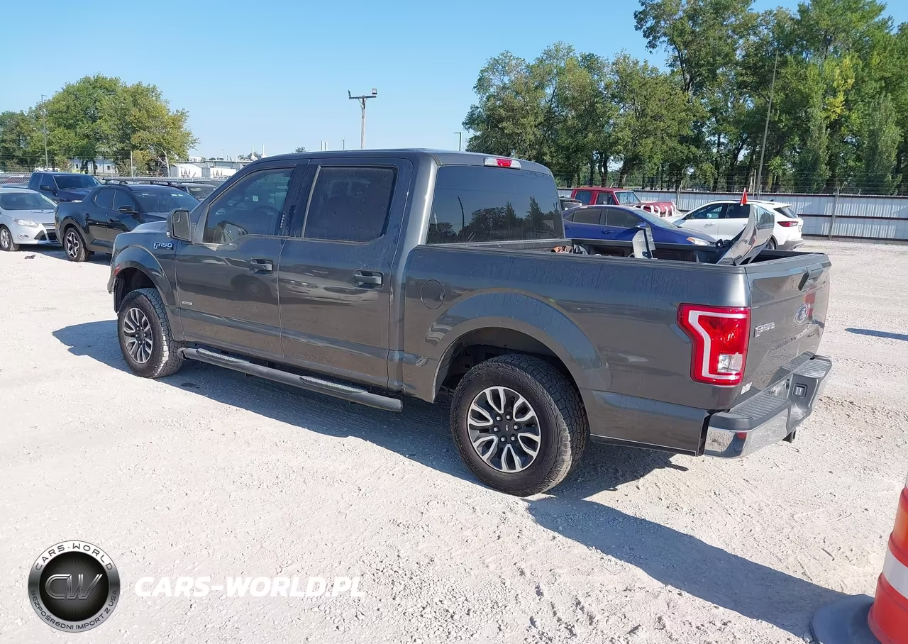 2016 Ford F-150 Xlt VIN:1FTEW1CG9GKD79355 - 3