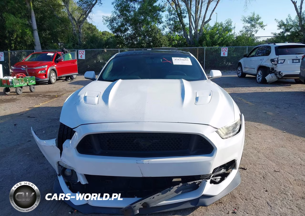 2017 Ford Mustang Gt VIN:1FA6P8CF2H5301636 - 13