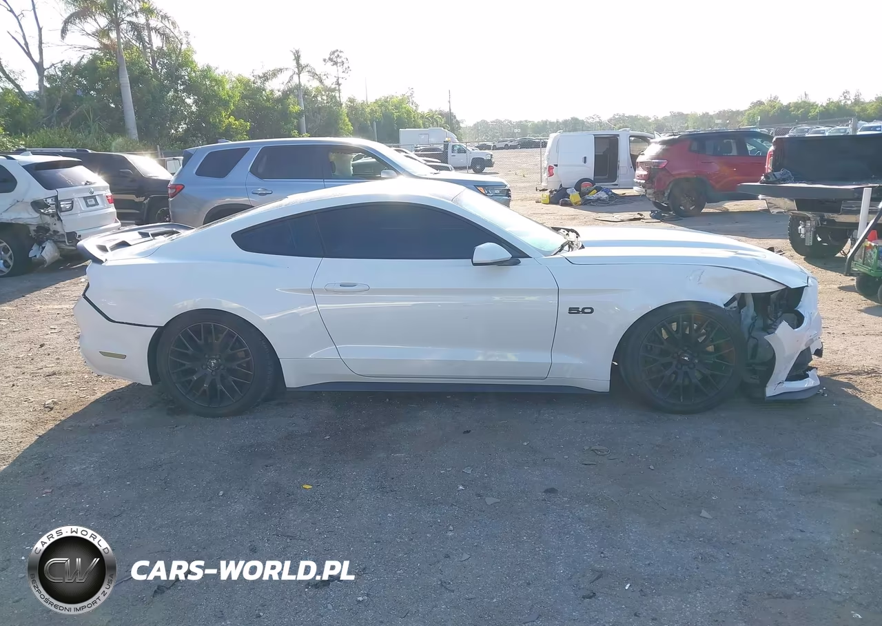 2017 Ford Mustang Gt VIN:1FA6P8CF2H5301636 - 14
