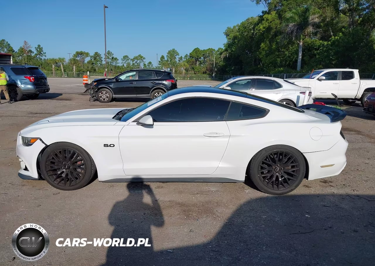 2017 Ford Mustang Gt VIN:1FA6P8CF2H5301636 - 15