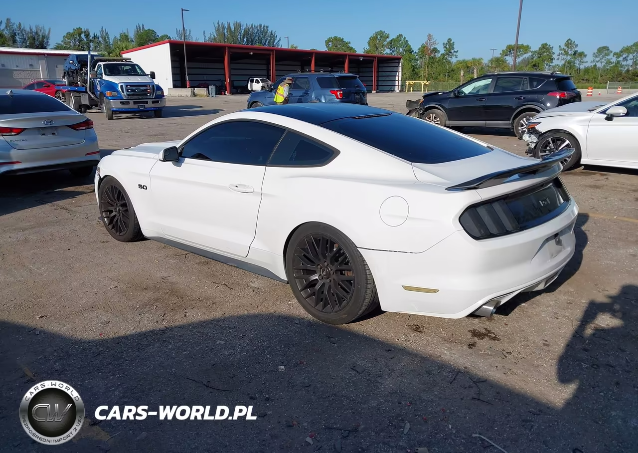 2017 Ford Mustang Gt VIN:1FA6P8CF2H5301636 - 3