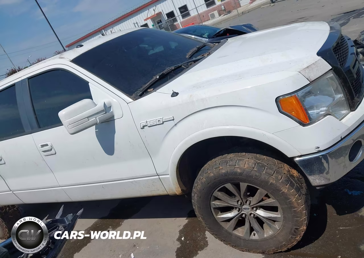 2011 Ford F-150 Lariat VIN:1FTFW1ET1BFD12829 - 13