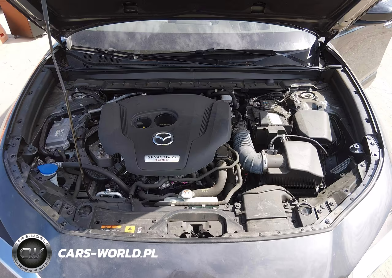 2024 Mazda Cx-30 2.5 Turbo Premium Plus Package VIN:3MVDMBEY1RM714762 - 10