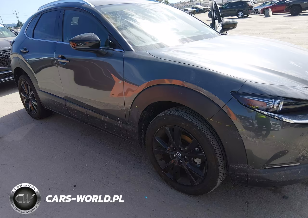 2024 Mazda Cx-30 2.5 Turbo Premium Plus Package VIN:3MVDMBEY1RM714762 - 6