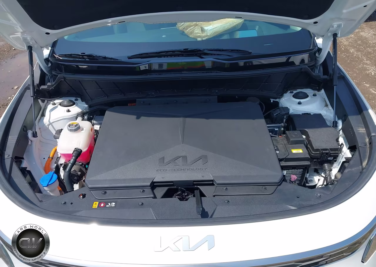 2024 Kia Niro Ev Wave VIN:KNDCT3L19R5101399 - 10