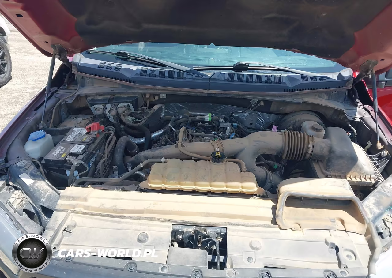 2019 Ford F-150 Xlt VIN:1FTEW1CP7KKE04553 - 10