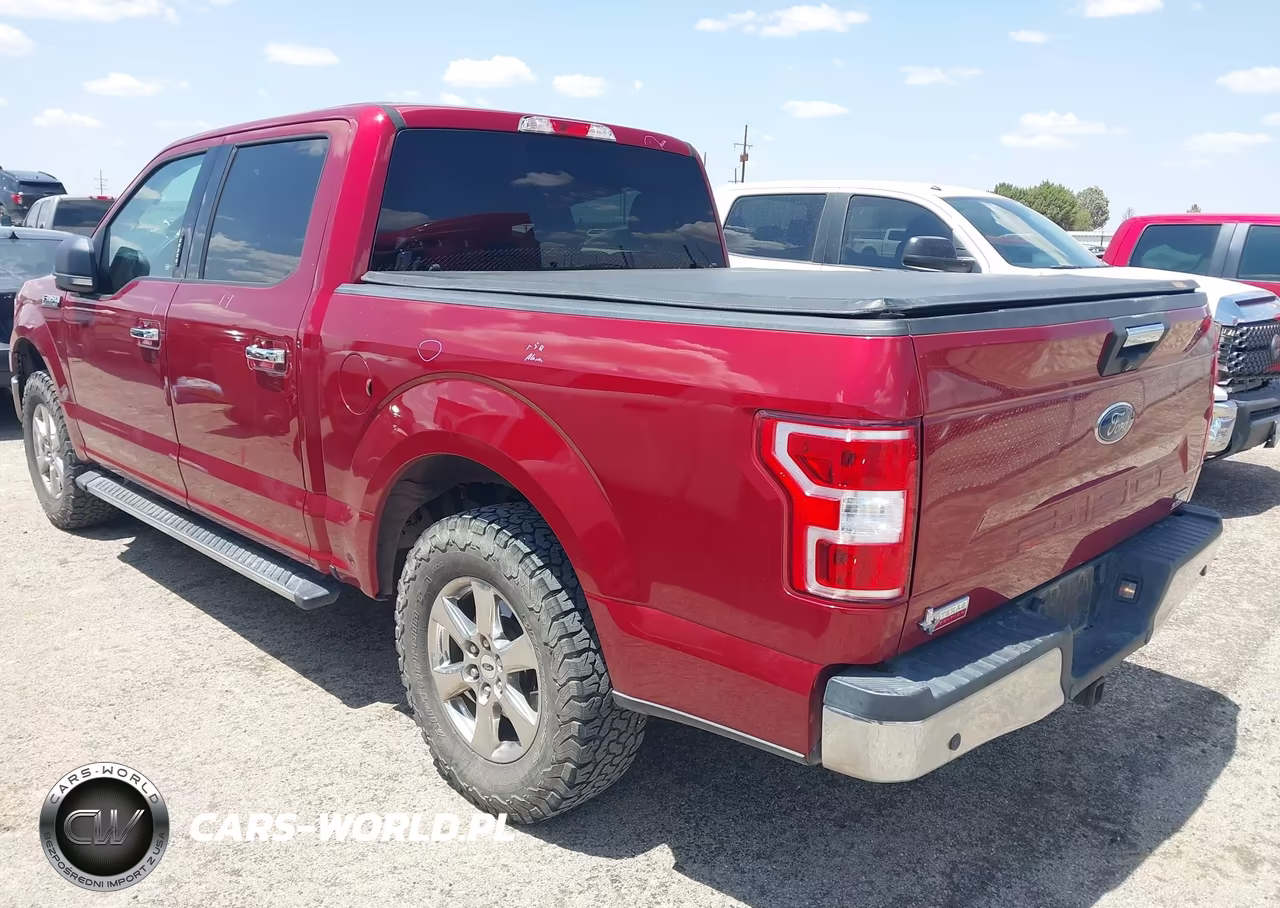 2019 Ford F-150 Xlt VIN:1FTEW1CP7KKE04553 - 3