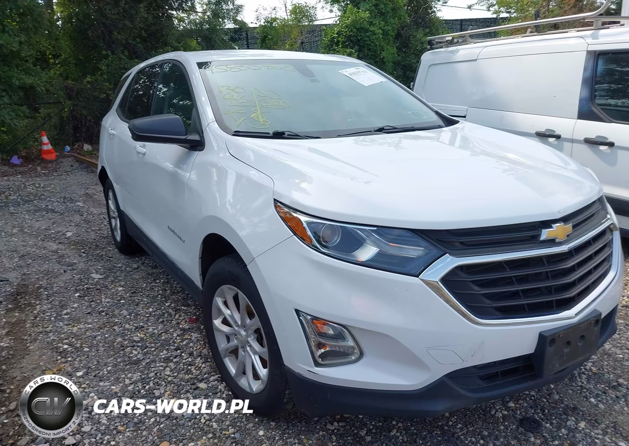 2019 Chevrolet Equinox Ls – zdjęcie 1 z 18