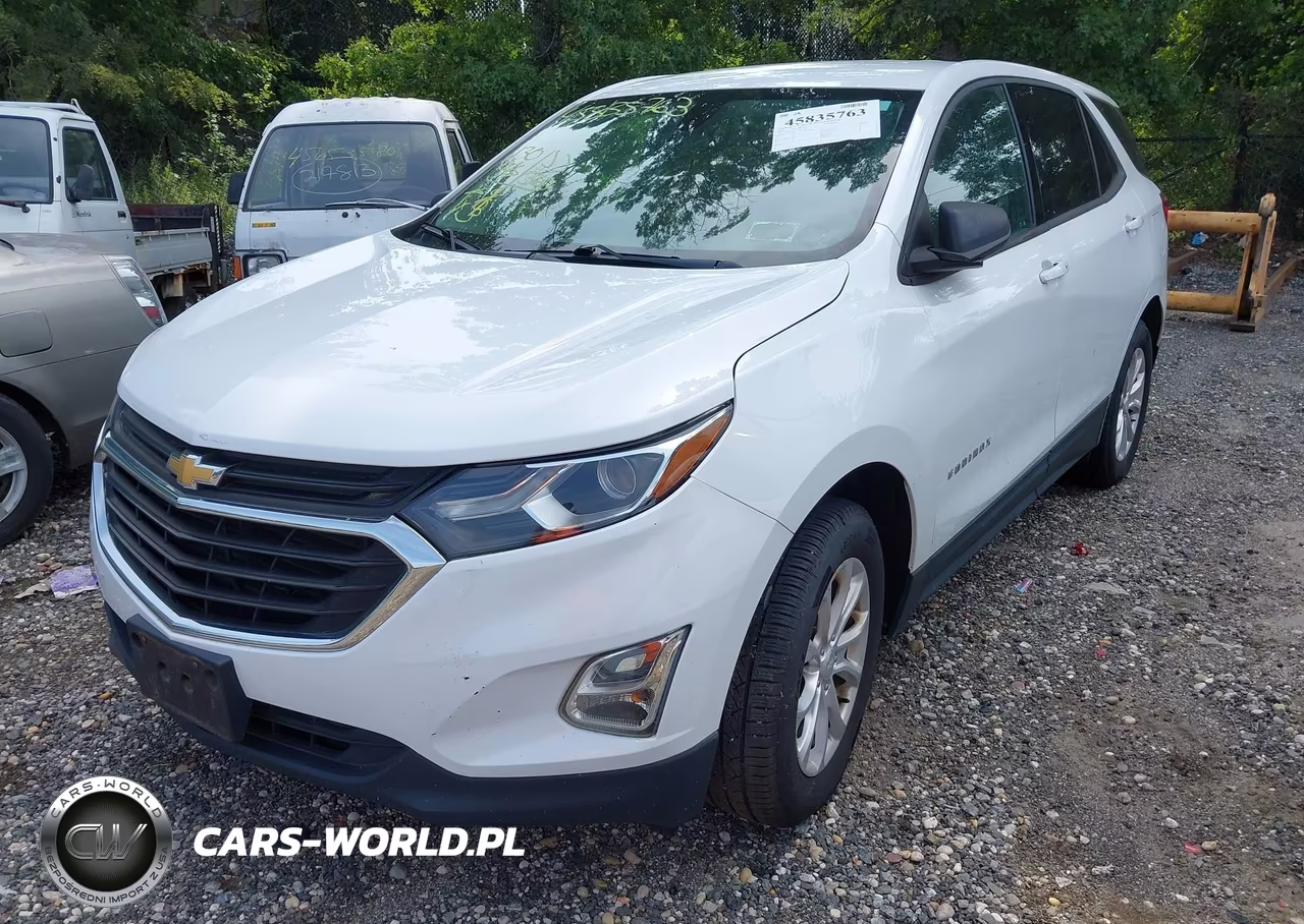 2019 Chevrolet Equinox Ls VIN:3GNAXSEV7KS571780 - 2
