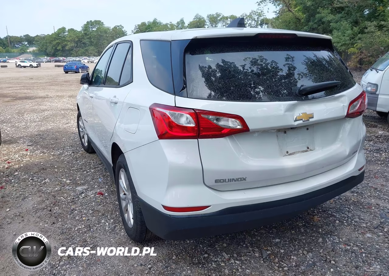 2019 Chevrolet Equinox Ls VIN:3GNAXSEV7KS571780 - 3