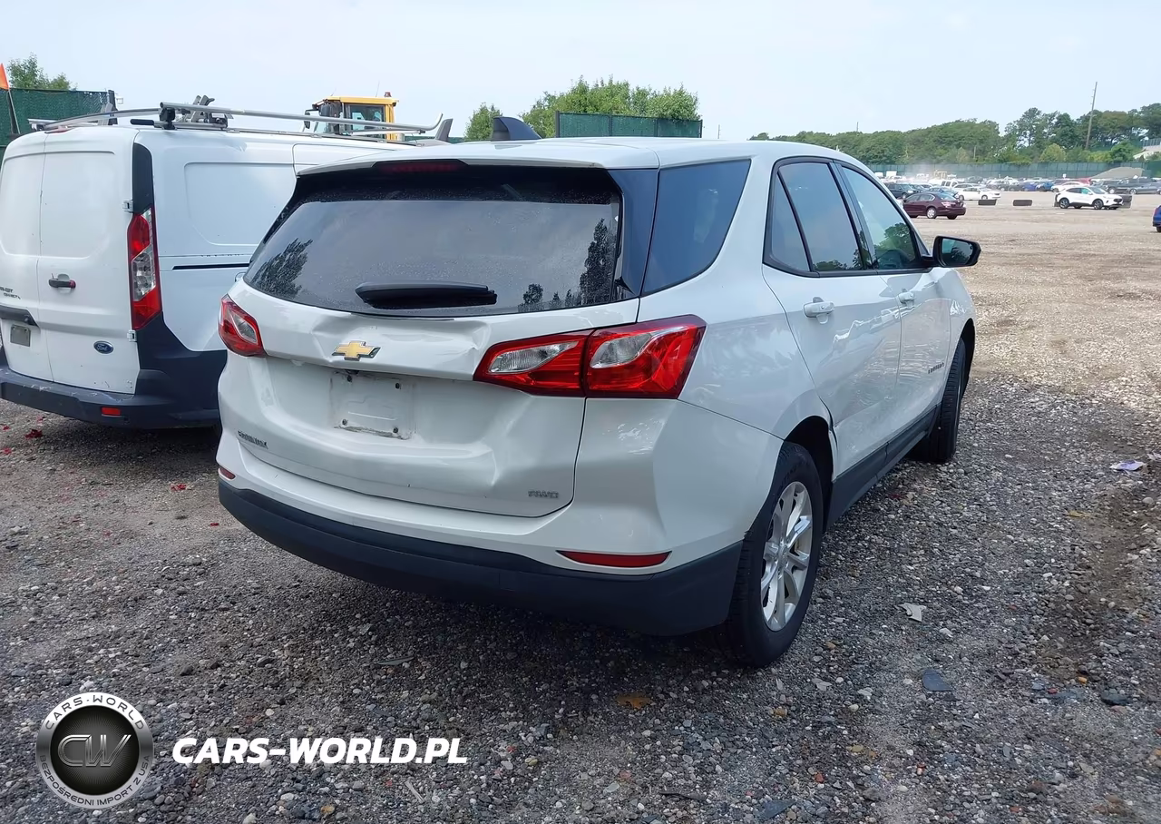 2019 Chevrolet Equinox Ls VIN:3GNAXSEV7KS571780 - 4