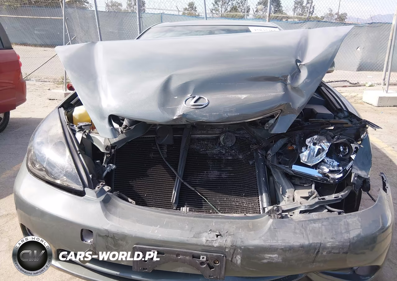 2005 Lexus Es 330 VIN:JTHBA30GX55117131 - 6