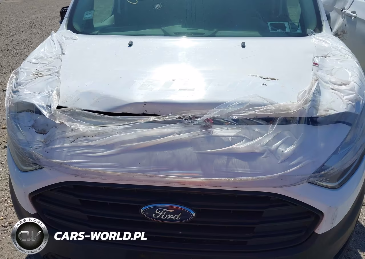 2019 Ford Transit Connect Xl VIN:NM0LS7E20K1404503 - 10