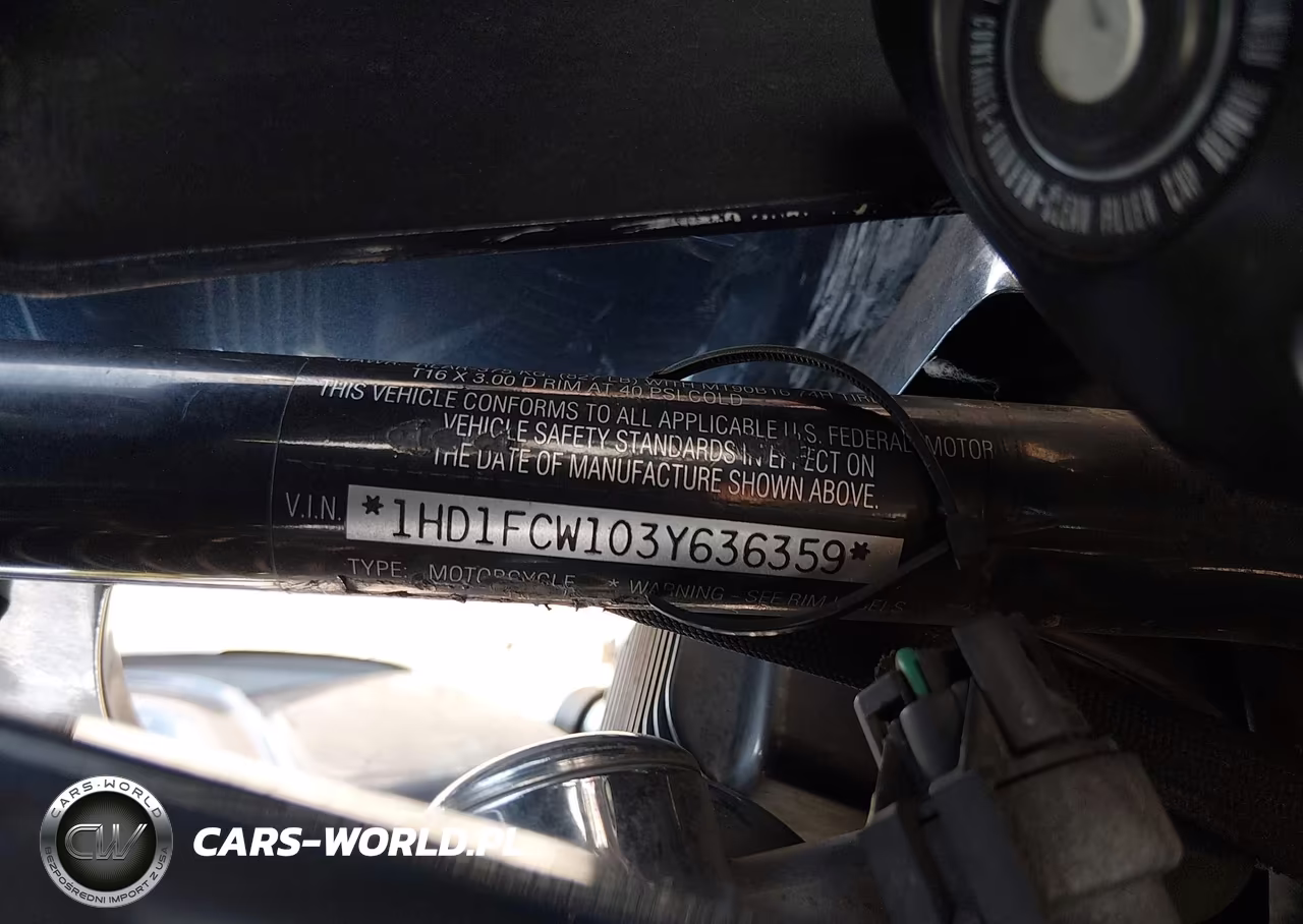 2003 Harley-Davidson Flhtcui VIN:1HD1FCW103Y636359 - 10