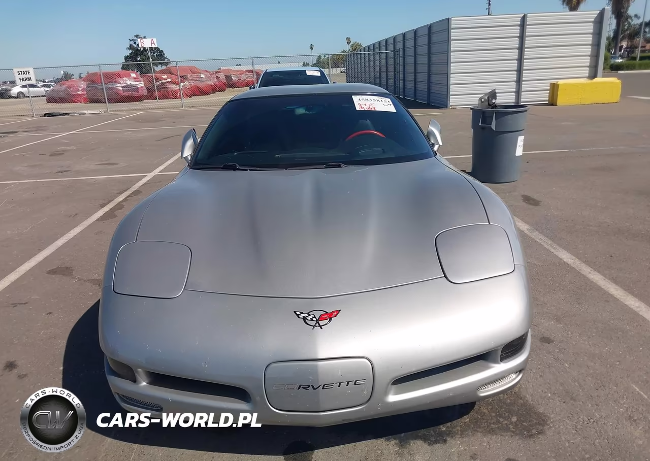 2004 Chevrolet Corvette VIN:1G1YY22G545133744 - 12