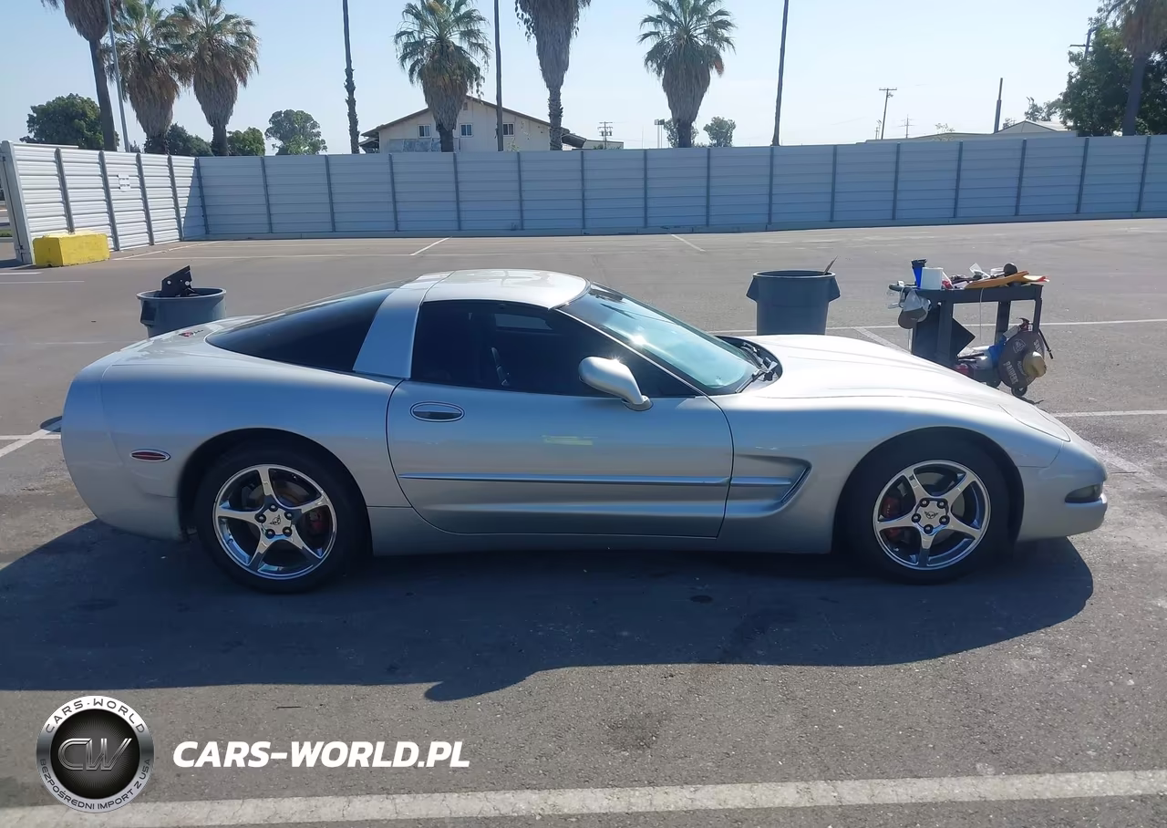 2004 Chevrolet Corvette VIN:1G1YY22G545133744 - 13