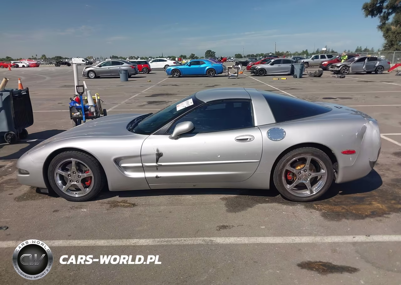 2004 Chevrolet Corvette VIN:1G1YY22G545133744 - 14