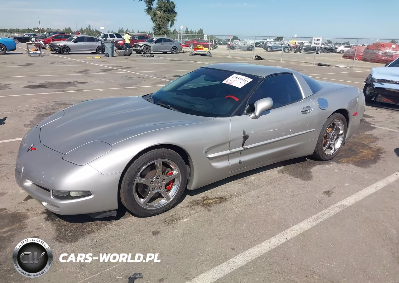 2004 Chevrolet Corvette VIN:1G1YY22G545133744 - 2
