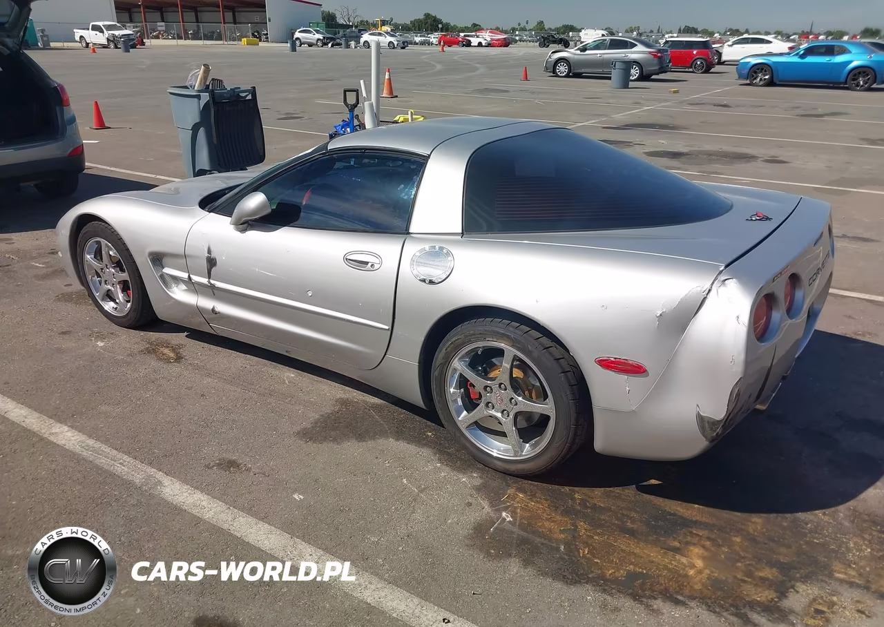 2004 Chevrolet Corvette VIN:1G1YY22G545133744 - 3