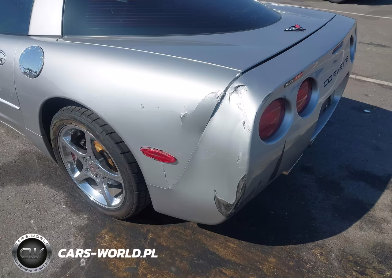 2004 Chevrolet Corvette VIN:1G1YY22G545133744 - 6