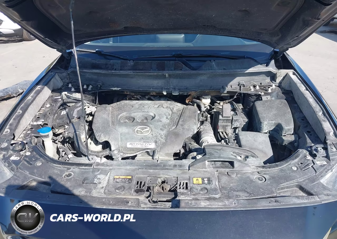 2017 Mazda Cx-9 Sport VIN:JM3TCBBY0H0134738 - 10