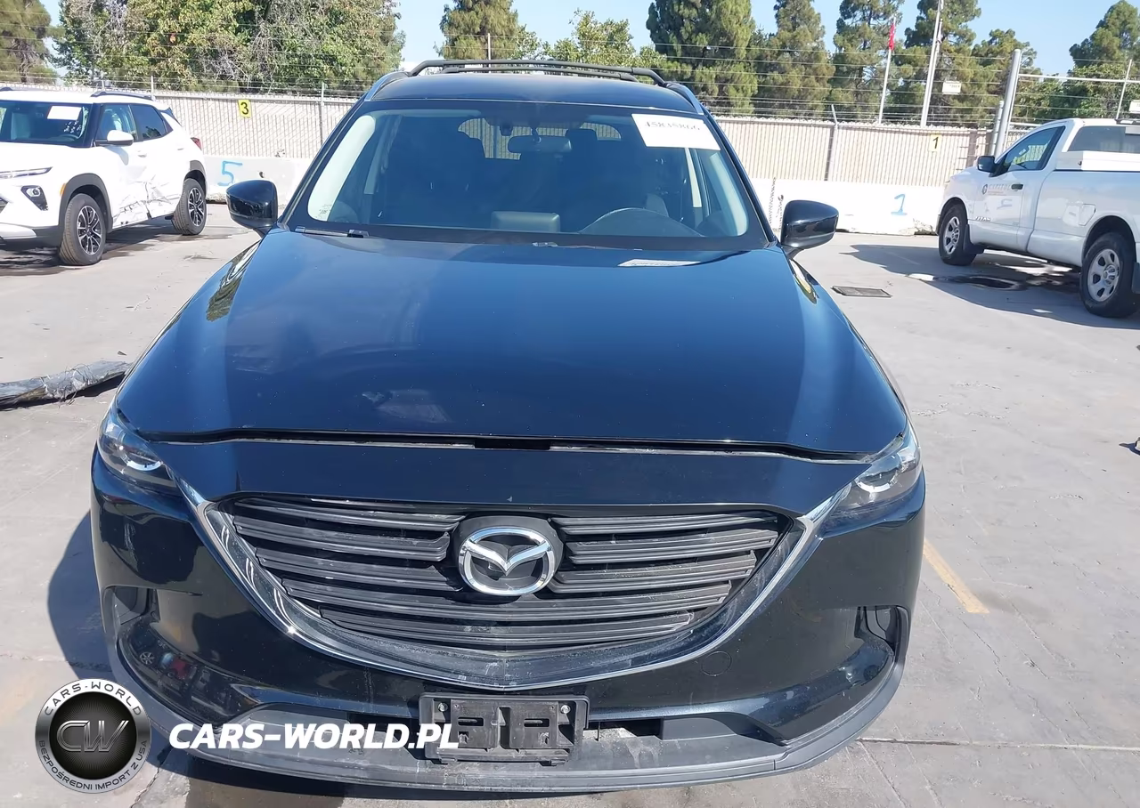 2017 Mazda Cx-9 Sport VIN:JM3TCBBY0H0134738 - 13