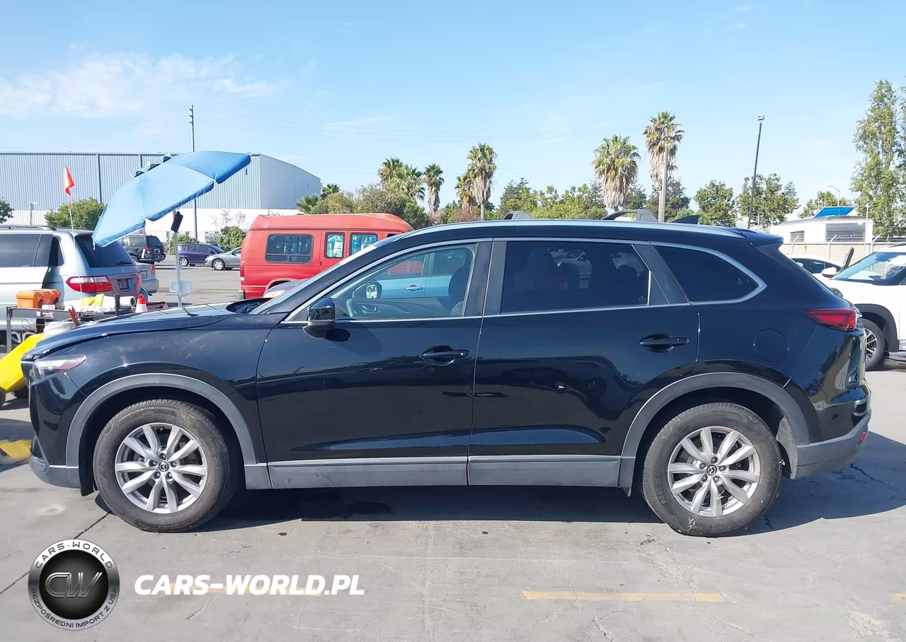 2017 Mazda Cx-9 Sport VIN:JM3TCBBY0H0134738 - 15