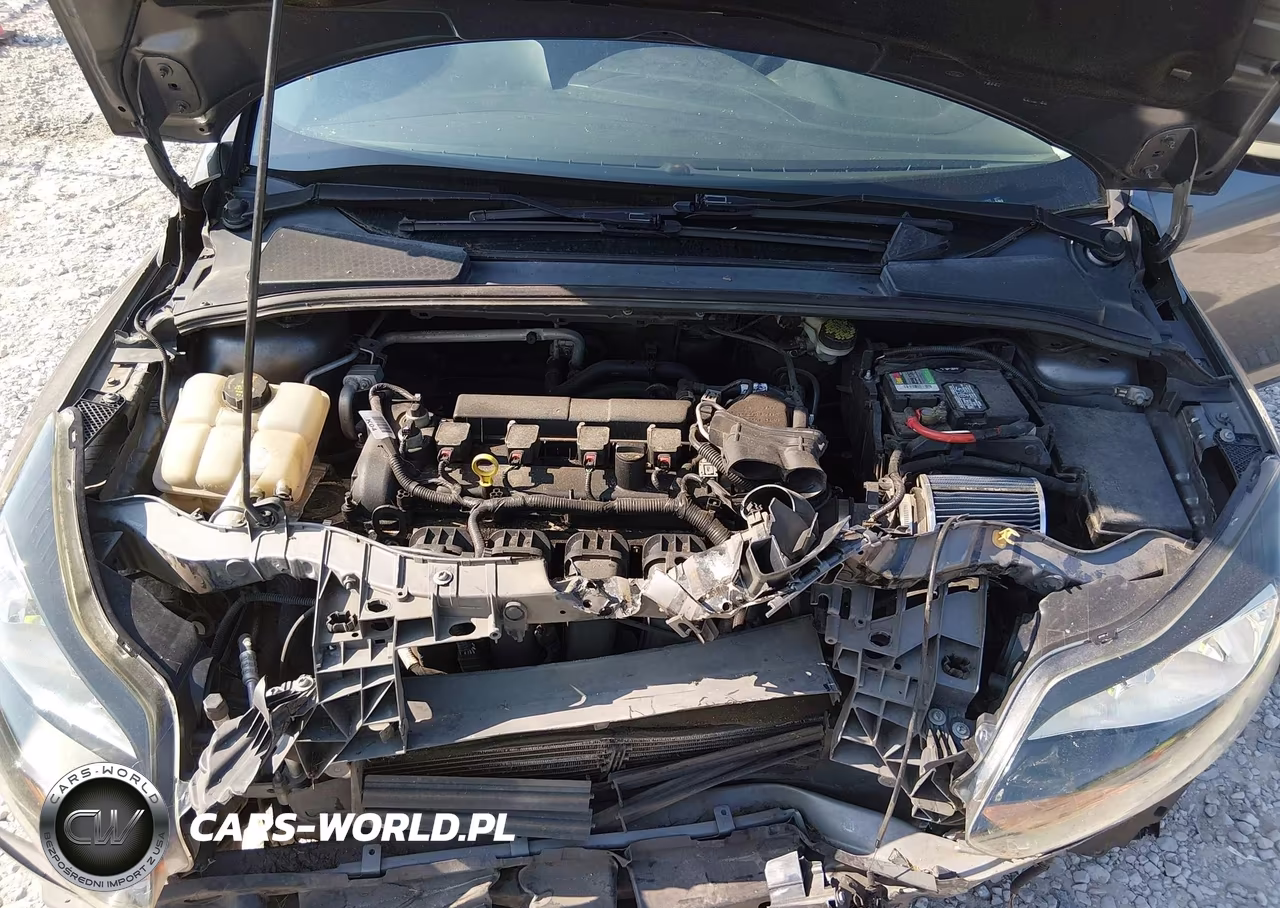 2014 Ford Focus Se VIN:1FADP3K26EL414893 - 10